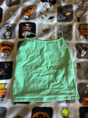 American Eagle Outfitters Mint Green Cropped Tank Top